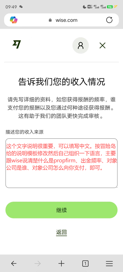 Wise 描述收入来源的文字填写框