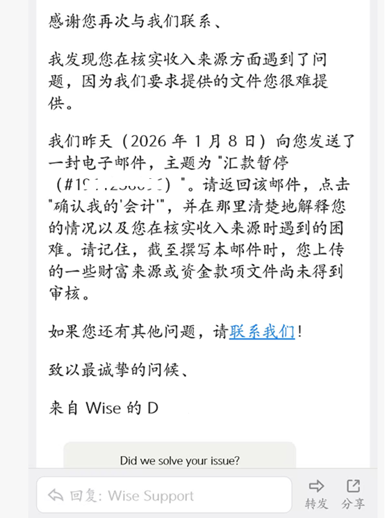 Wise 客服 David 的友好回复，指引点击确认我的会计